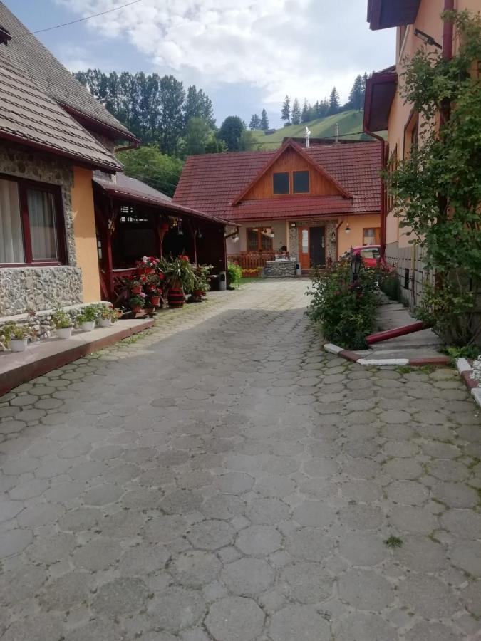 Hotel Vila Ovi Bran  Exterior foto